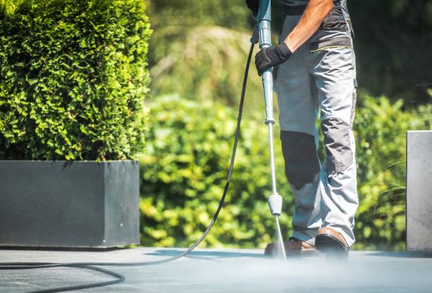 Animal Enclosure Cleaning in Caseyville, IL