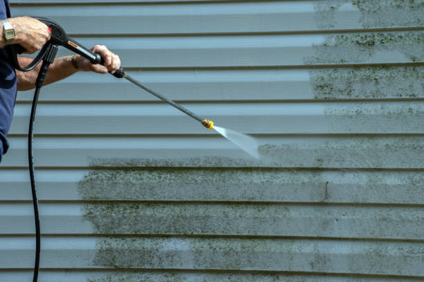 Best Graffiti Removal  in Caseyvle, IL