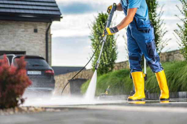 Best Fence Cleaning  in Caseyvle, IL