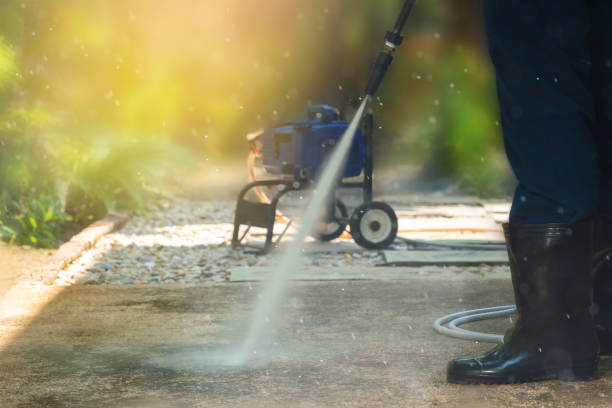 Best Soft Washing  in Caseyvle, IL